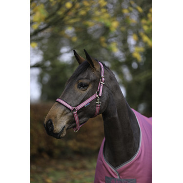 Halster Bucas Dublin Framboos Rood Halster Bucas Dublin Framboos Rood