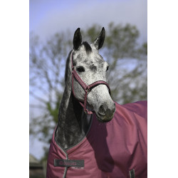 Halster Bucas Dublin Framboos Rood Halster Bucas Dublin Framboos Rood