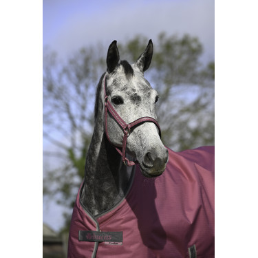 Halster Bucas Dublin Framboos Rood Halster Bucas Dublin Framboos Rood