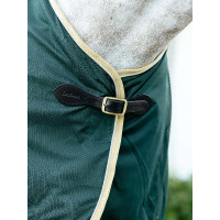 Chemise rafraichissante LeMieux Vert