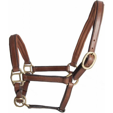 Licol foal en cuir T de T Tabac Marron