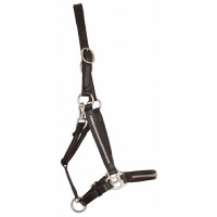 Licol cuir clincher T de T Havane foncé / blanc Marron Licol cuir clincher T de T Havane foncé / blanc Marron