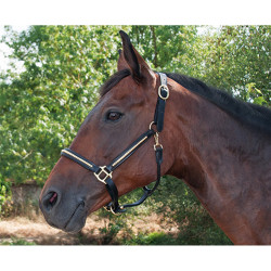 Licol cuir clincher T de T Havane foncé / blanc