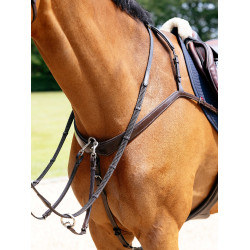 Collier de chasse LeMieux à pont Kudos Havane Marron