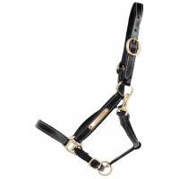 Licol cuir avec plaque à graver T de T Noir