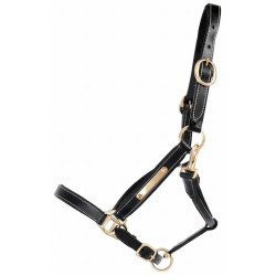 Licol cuir avec plaque à graver T de T Noir