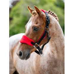 Mini LeMieux Vogue halster en halstertouw Chilli Rood Mini LeMieux Vogue halster en halstertouw Chilli Rood