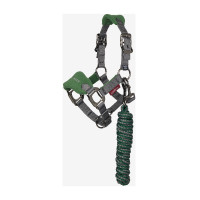 Licol et longe Mini LeMieux Vogue Vert hunter