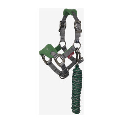 Mini LeMieux Vogue halster en halstertouw Groen hunter
