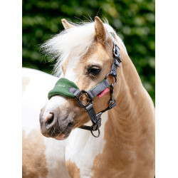 Mini LeMieux Vogue halster en halstertouw Groen hunter