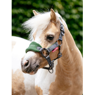 Mini LeMieux Vogue halster en halstertouw Groen hunter