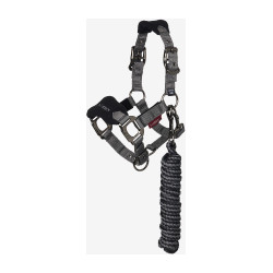 Licol et longe Mini LeMieux Vogue Noir