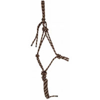 Licol éthologique + longe T de T Marron / beige