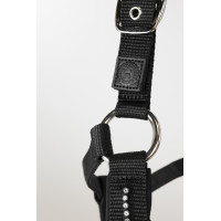 Halter en leidlijn Harcour Amour Marine Marineblauw Halter en leidlijn Harcour Amour Marine Marineblauw