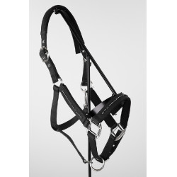 Halter en leidlijn Harcour Amour Zwart Halter en leidlijn Harcour Amour Zwart