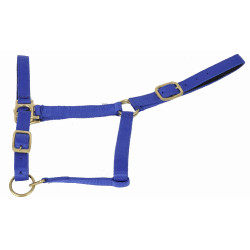 Licol synthétique doublé suédine T de T Bleu roi Licol synthétique doublé suédine T de T Bleu roi