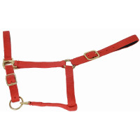 Synthetisch halster met suèdine voering T van T Rood