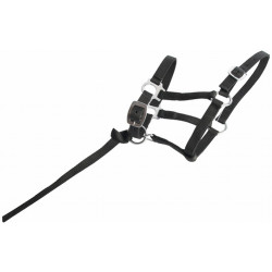 Licol foal synthétique T de T Noir