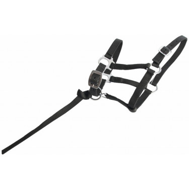 Synthetisch veulenhalster T de T Zwart