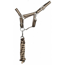 Licol synthétique doublé + longe tressée américaine T de T Marron foncé / beige