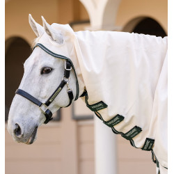 Couverture integrale Horseware Rambo hoody Poney 0g Craie / vert chasseur / argent Blanc Couverture integrale Horseware Rambo hoody Poney 0g Craie / vert chasseur / argent Blanc
