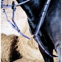 Collier de chasse Biotack T de T Violet