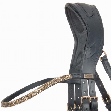 Bridon têtière anatomique Hopper T de T strass Noir / doré Bridon têtière anatomique Hopper T de T strass Noir / doré