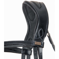 Bridon têtière anatomique Matisse T de T Marron / blanc