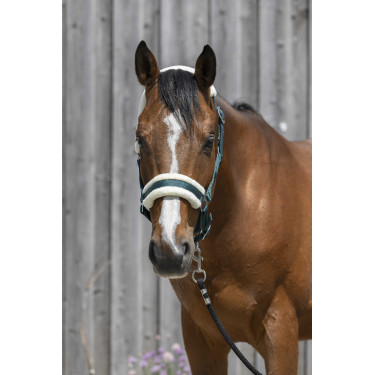Licol Riding World mouton synthétique Licol Riding World mouton synthétique