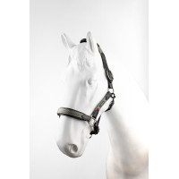 Licol en cuir B Vertigo Lennox Vert scarabé Licol en cuir B Vertigo Lennox Vert scarabé