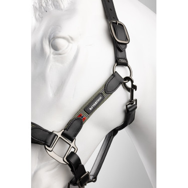 Lederen halster B Vertigo Lennox Groene scarabee