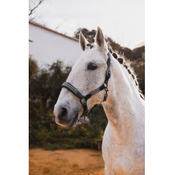 Lederen halster B Vertigo Lennox Groene scarabee