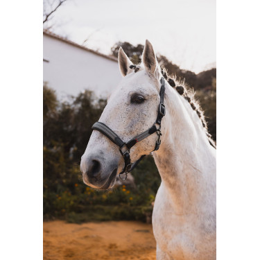 Lederen halster B Vertigo Lennox Groene scarabee