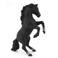 Zwarte steigende paard...