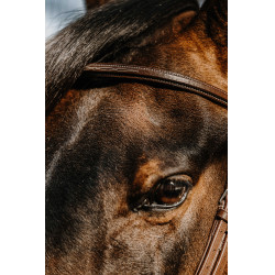 Norton Hunter hoofdstel Bruin