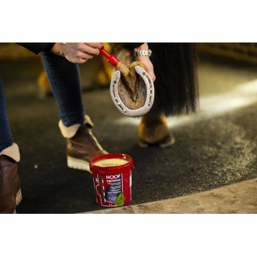 Kevin Bacon's Hoof Dressing Winter hoefvet Kevin Bacon's Hoof Dressing Winter hoefvet