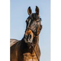 Ethologisch halster + leadrope Norton Deco Bruin / beige