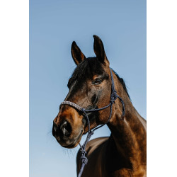 Ethologisch halster + leadrope Norton Deco Marine / beige Blauw Ethologisch halster + leadrope Norton Deco Marine / beige Blauw