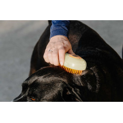 Hippotonic Stoomstrijker Crème Beige