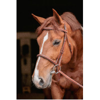 Bridon Hunter US Pénélope Noisette / havane Bridon Hunter US Pénélope Noisette / havane