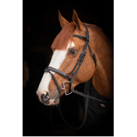 Birdon Oxford Prestatie Pénélope Zwart