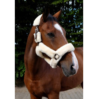 Halster Equithème Teddy Choco / ecru Bruin Halster Equithème Teddy Choco / ecru Bruin