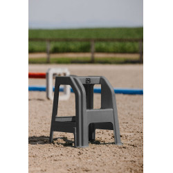 Montoir 2 marches Hippotonic Gris Montoir 2 marches Hippotonic Gris