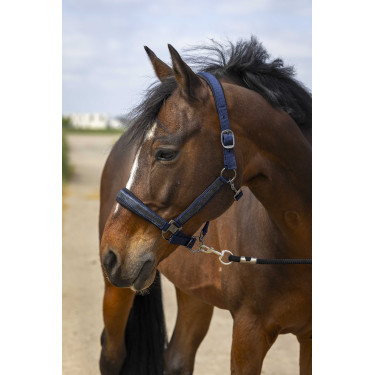 Halster Equithème Nylon Strass Marineblauw Halster Equithème Nylon Strass Marineblauw