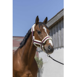 Licol Norton Cosy Bordeaux