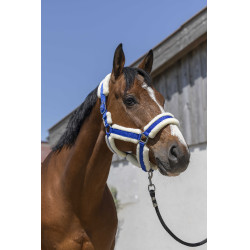 Licol Norton Cosy Bleu roi