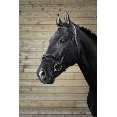 Bridon Norton Pro Fin Bridon Norton Pro Fin