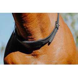 Collier de monte à cru Norton