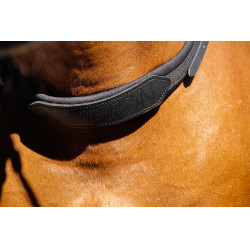 Norton bareback halster Zwart Norton bareback halster Zwart