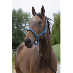 Licol Norton Satine Bleu canard